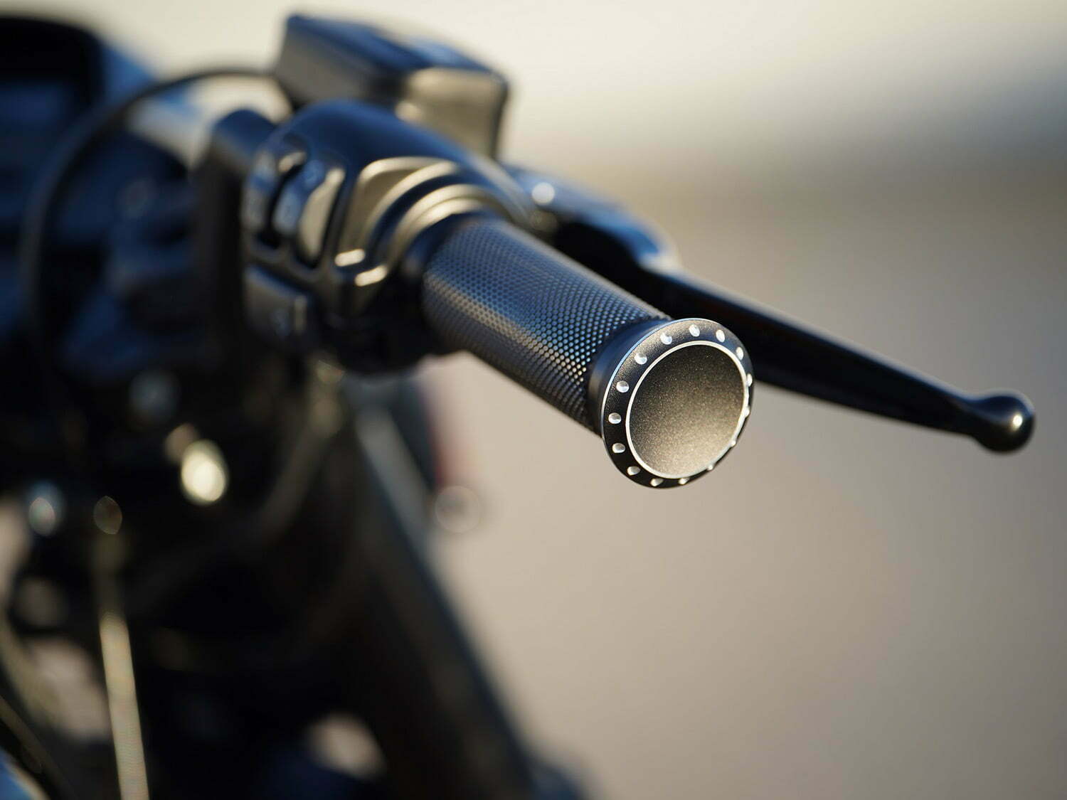 Thunderbike Satin Grips